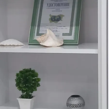 Krisiya In Apartamento *